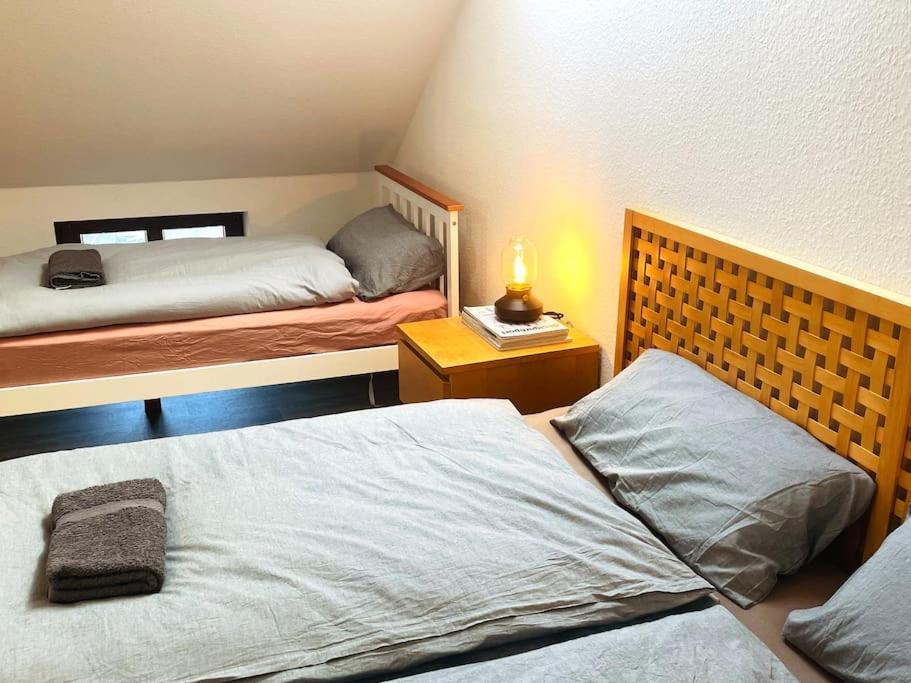 P6 - Familienwohnung Am Park Und Saale Halle  المظهر الخارجي الصورة