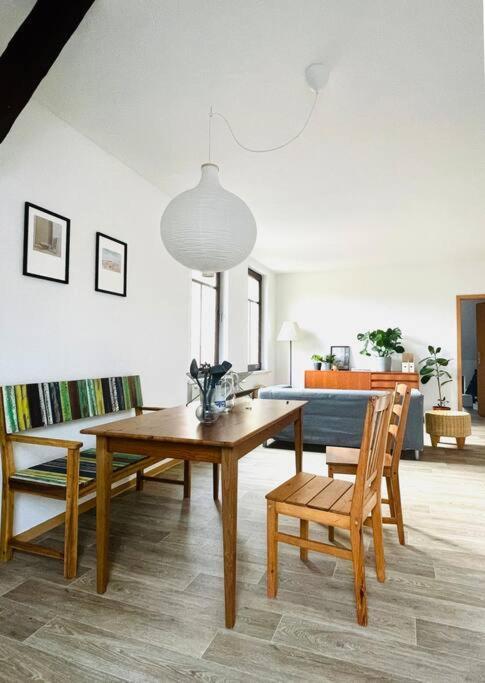 P6 - Familienwohnung Am Park Und Saale Halle  المظهر الخارجي الصورة