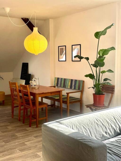 P6 - Familienwohnung Am Park Und Saale Halle  المظهر الخارجي الصورة