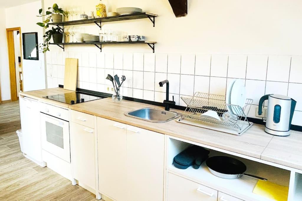 P6 - Familienwohnung Am Park Und Saale Halle  المظهر الخارجي الصورة