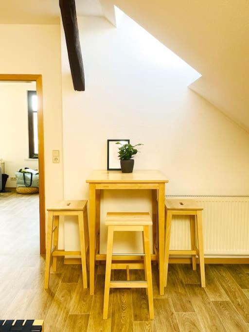 P6 - Familienwohnung Am Park Und Saale Halle  المظهر الخارجي الصورة