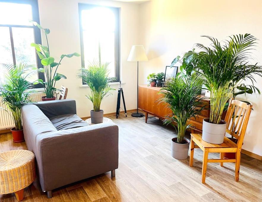 P6 - Familienwohnung Am Park Und Saale Halle  المظهر الخارجي الصورة