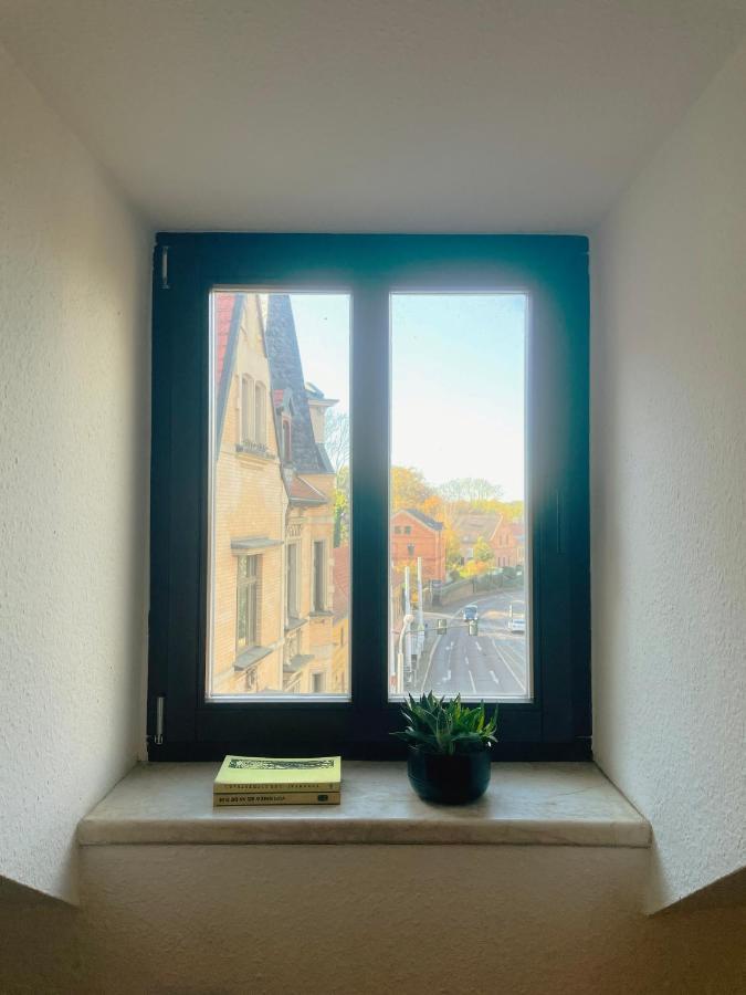 P6 - Familienwohnung Am Park Und Saale Halle  المظهر الخارجي الصورة